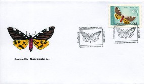 1982, 13.Aug., Umschlag m. EF. 3400 CLUJ-NAPOCA 2 - PRO NATURA PERICALLIA MATRONULA L.(S...