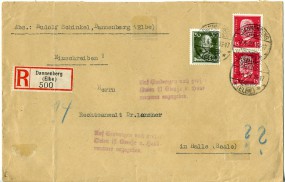 1929, 3.Apr., R-Bf.m. MiF. DANNENBERG (ELBE) **(Handstpl.) nach HALLE (SAALE) 3 *c. Po...
